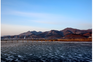 遼寧優(yōu)惠發(fā)國際快遞到國外