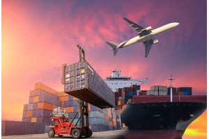 包裝在國(guó)際物流中的保護(hù)段位