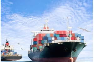 上?？缇畴娚涛锪鞴ヂ裕航?jīng)濟(jì)實(shí)惠、高效便捷一站式服務(wù)全解析