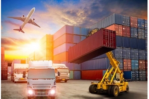 國際物流中的關(guān)稅與稅費解析