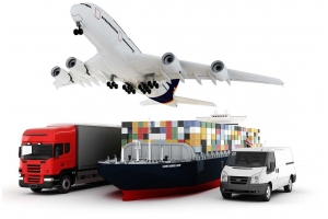 國際電商平臺(tái)物流政策新動(dòng)向：行業(yè)洞察與應(yīng)對策略