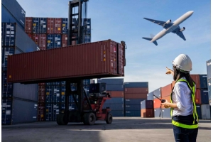 假花在海外郵寄過程中是否受到目的地國家處罰?