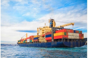 仿真花在國際快遞中可能遇到的包裹丟失問題如何解決?