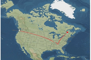 美國T86清關政策或將取消?亞馬遜賣家如何應對新變局?