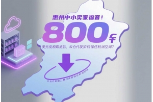 惠州中小賣家福音！800美元免稅取消后，云倉代發(fā)如何保住利潤空間？
