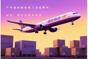 廣州國際快遞熱門渠道解析：時效、費用與清關(guān)政策