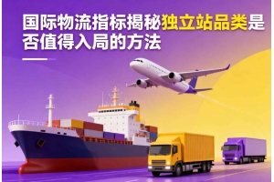 國(guó)際物流指標(biāo)揭秘獨(dú)立站品類是否值得入局的方法