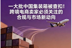 一大批中國(guó)集裝箱被查扣!跨境電商賣家必須關(guān)注的合規(guī)與市場(chǎng)新動(dòng)向