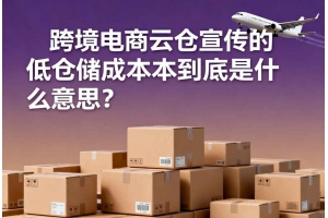 跨境電商云倉(cāng)宣傳的低倉(cāng)儲(chǔ)成本到底是什么意思？