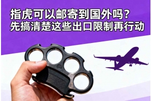 指虎可以郵寄到國外嗎？先搞清楚這些出口限制再行動