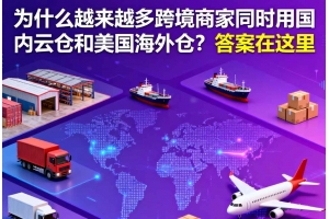 為什么越來越多跨境商家同時用國內云倉和美國海外倉？答案在這里