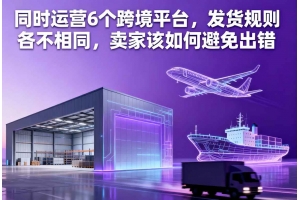 同時運營6個跨境平臺，發貨規則各不相同，賣家該如何避免出錯