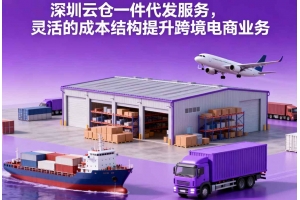 深圳云倉一件代發(fā)服務(wù)，靈活的成本結(jié)構(gòu)提升跨境電商業(yè)務(wù)