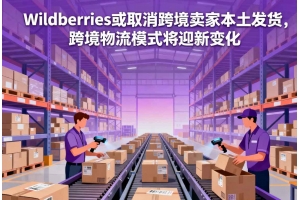 Wildberries或取消跨境賣家本土發貨，跨境物流模式將迎新變化